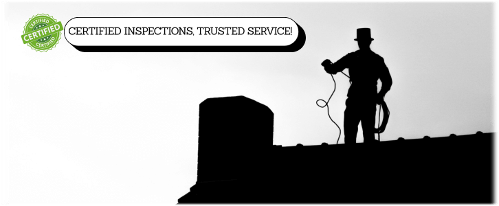 Chimney and Fireplace Inspection Alexandria